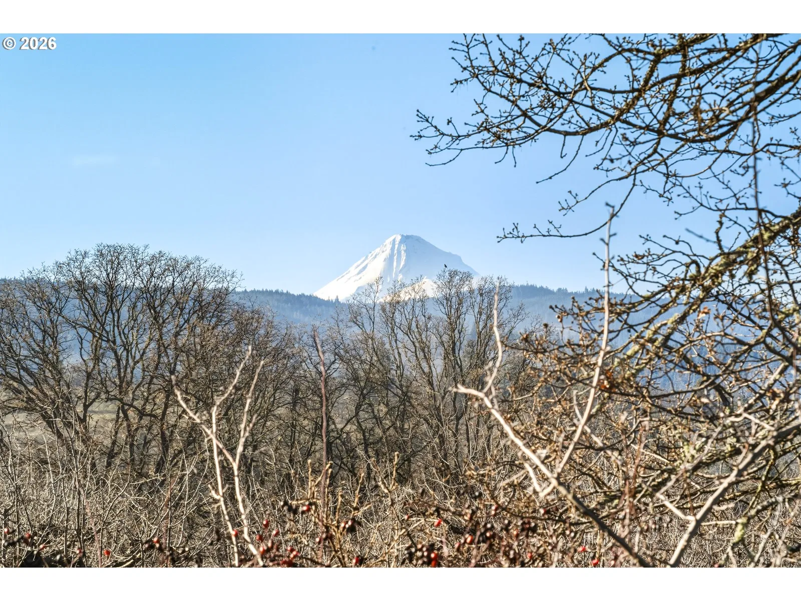 Dry Creek Rd, Mosier, OR 97040 — photograph 15