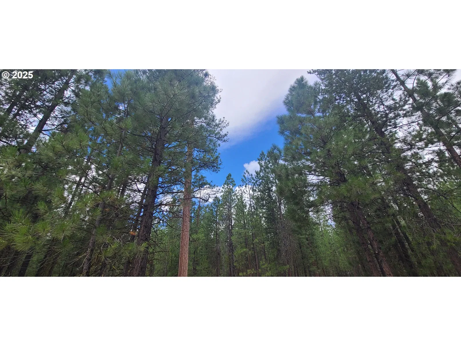 52328 Elderberry Ct, La Pine, OR 97739 — photograph 13