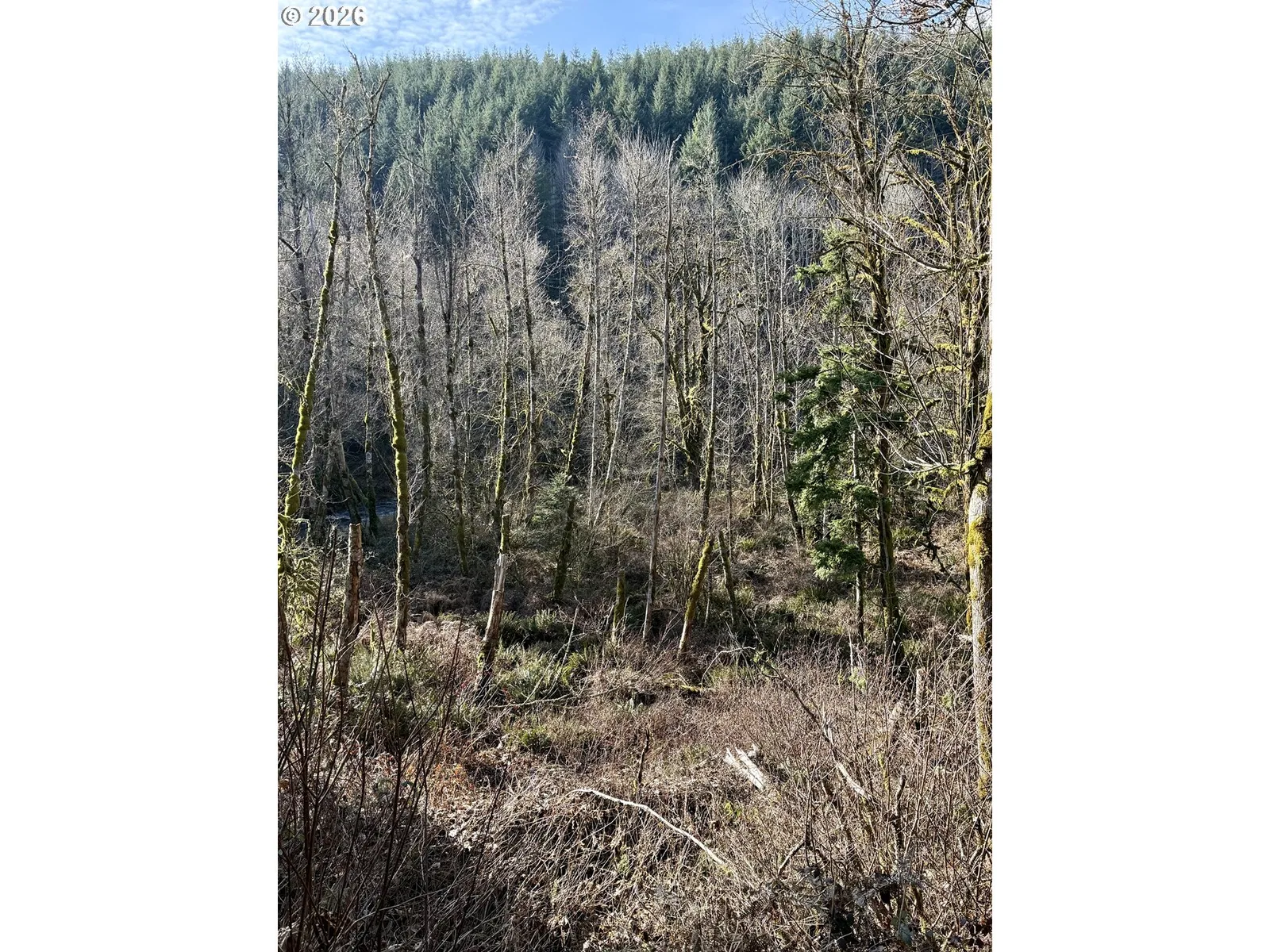 Butte Creek Crossing, Scotts Mills, OR 97375 — photograph 9