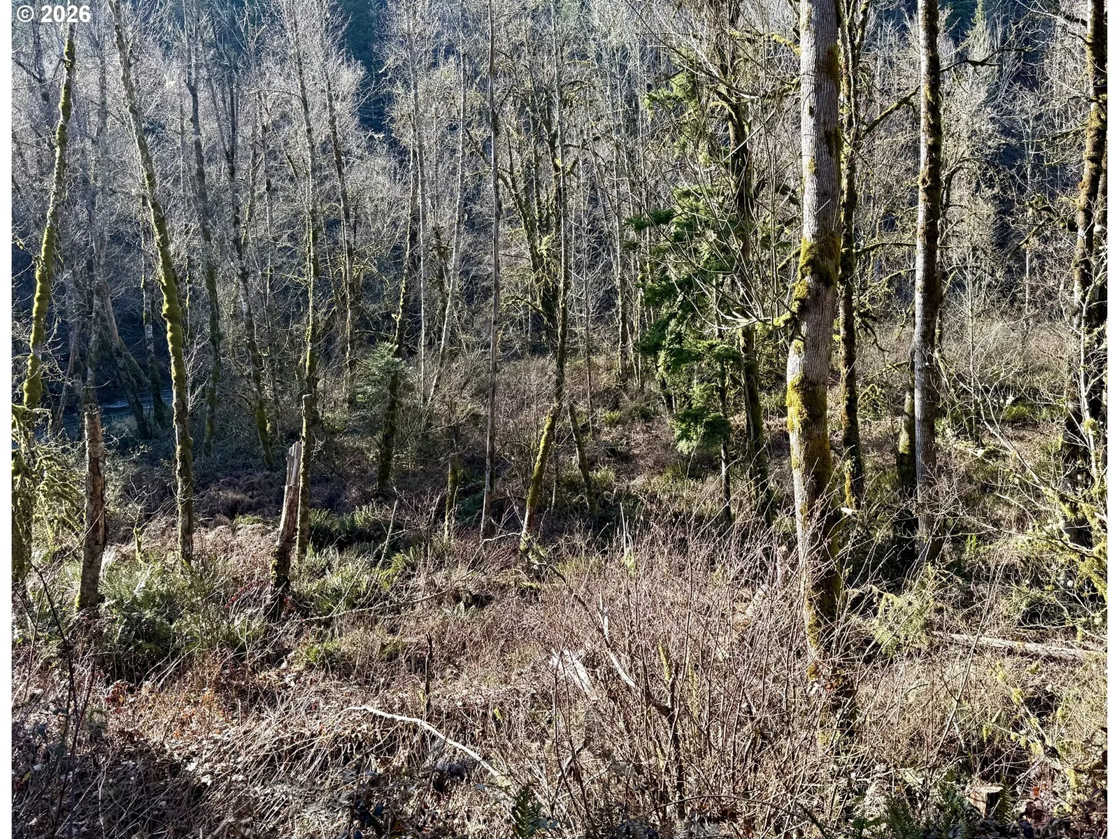 Butte Creek Crossing, Scotts Mills, OR 97375 — photograph 13