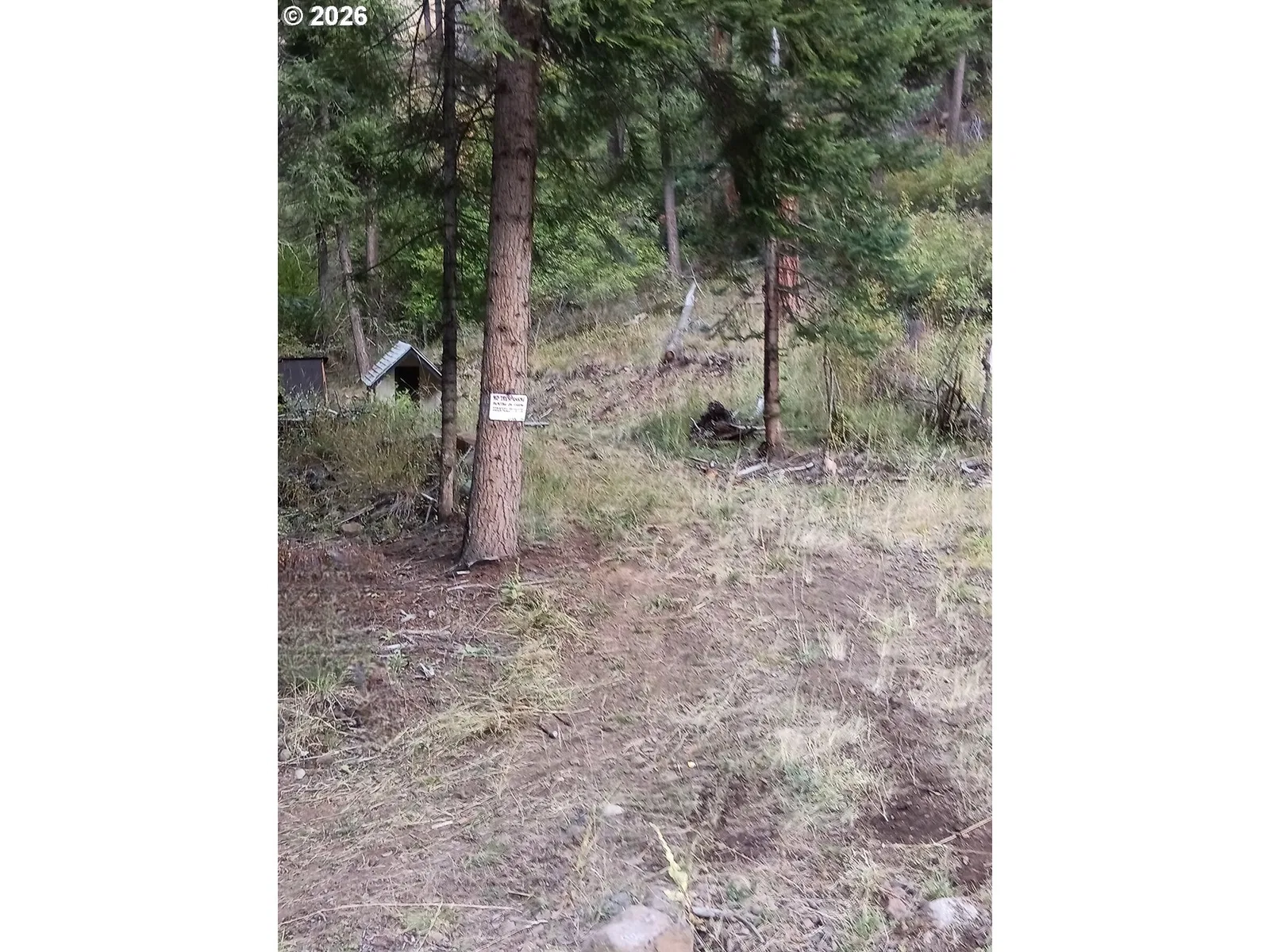 River Canyon Rd Tl 900, Imnaha, OR 97842 — photograph 15