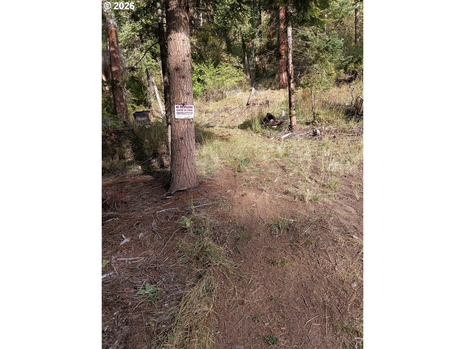 River Canyon Rd Tl 900, Imnaha, OR 97842 — photograph 18