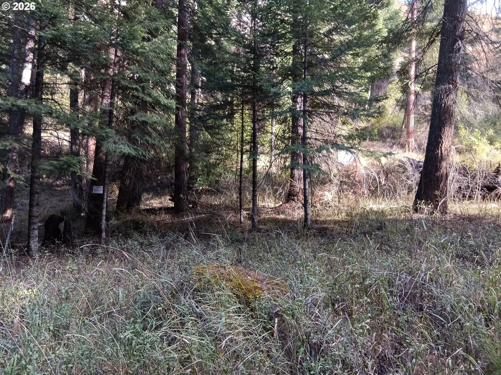 River Canyon Rd Tl 900, Imnaha, OR 97842 — photograph 19