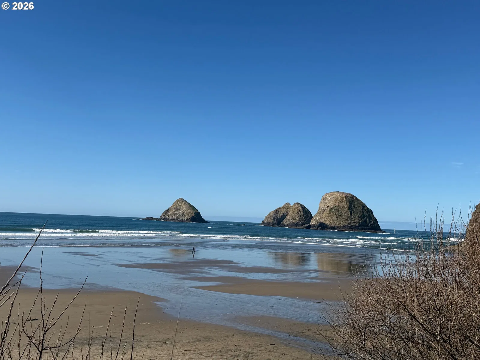 Ava Pl - Lot 8 8, Oceanside, OR 97134 — photograph 10
