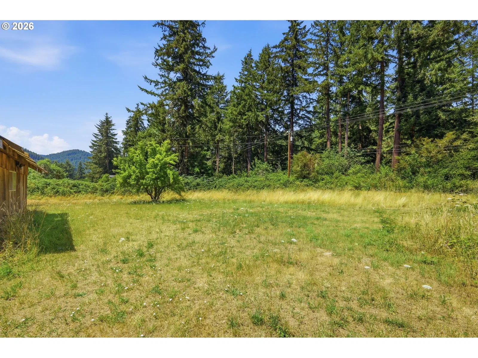 38269 Lower Brice Creek Rd, Dorena, OR 97434 — photograph 33