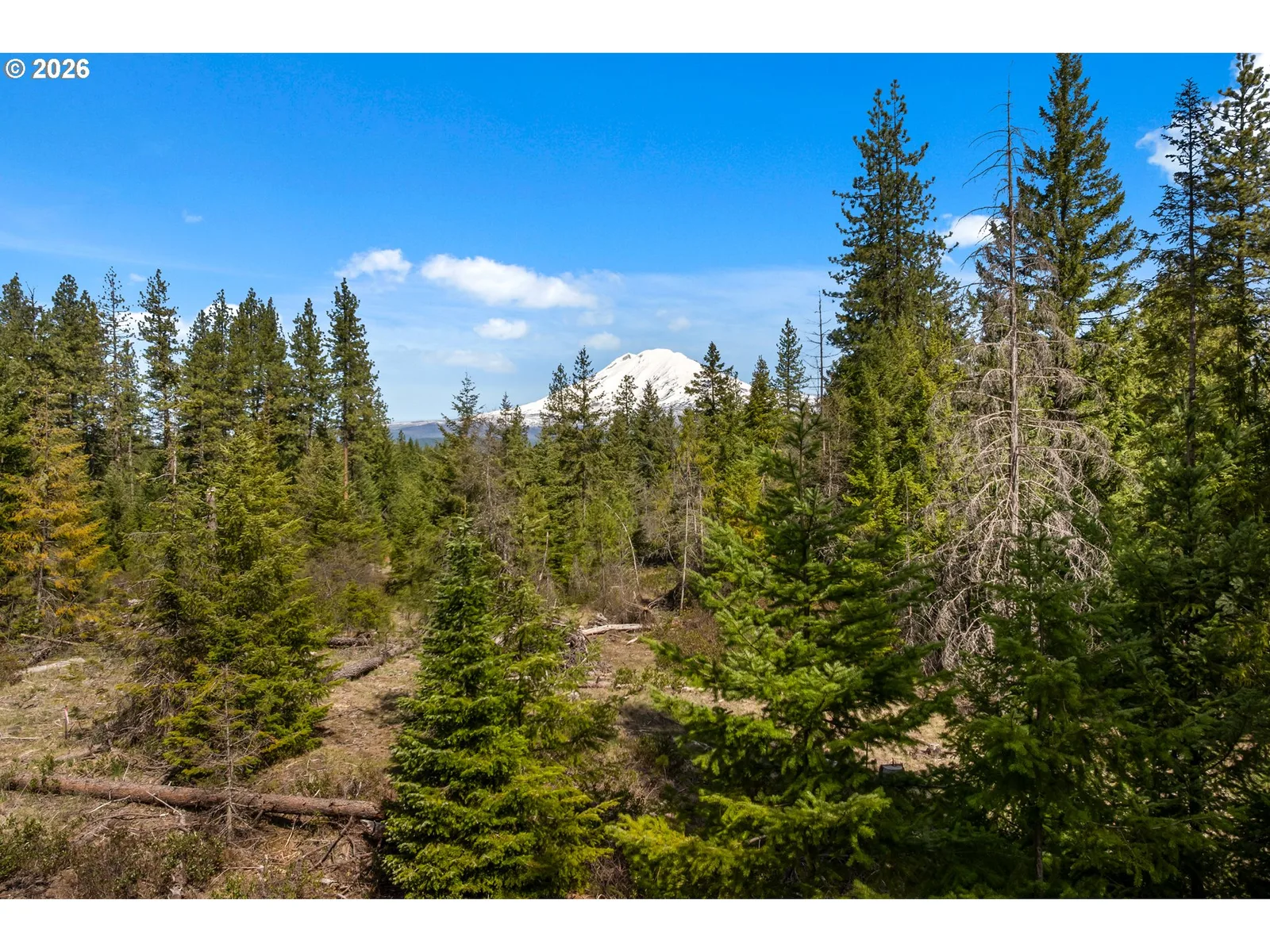 Lonesome Pines Dr 4, Trout Lake, Wa 98650 — photograph 12