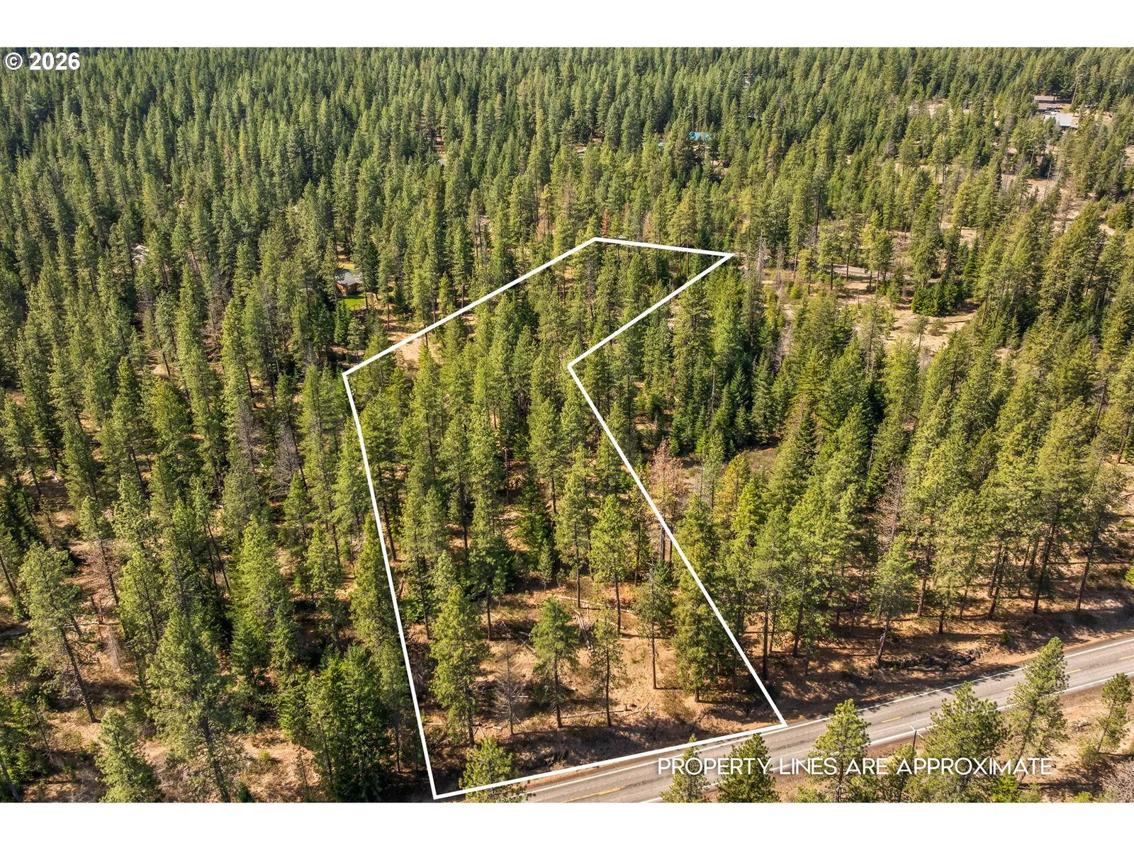 Lonesome Pines Dr 4, Trout Lake, Wa 98650 — photograph 16