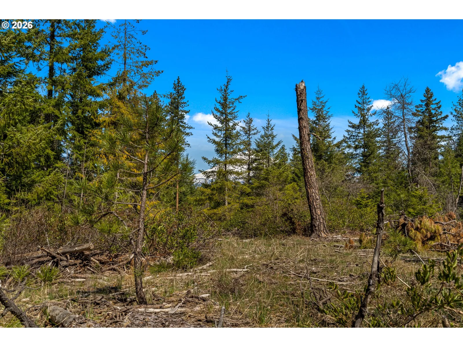 Lonesome Pines Dr 4, Trout Lake, Wa 98650 — photograph 19
