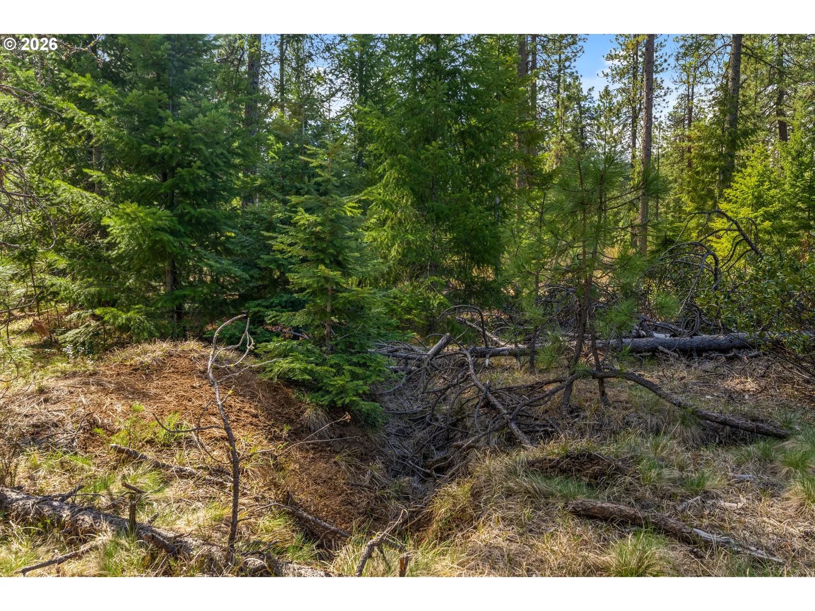 Lonesome Pines Dr 4, Trout Lake, Wa 98650 — photograph 20
