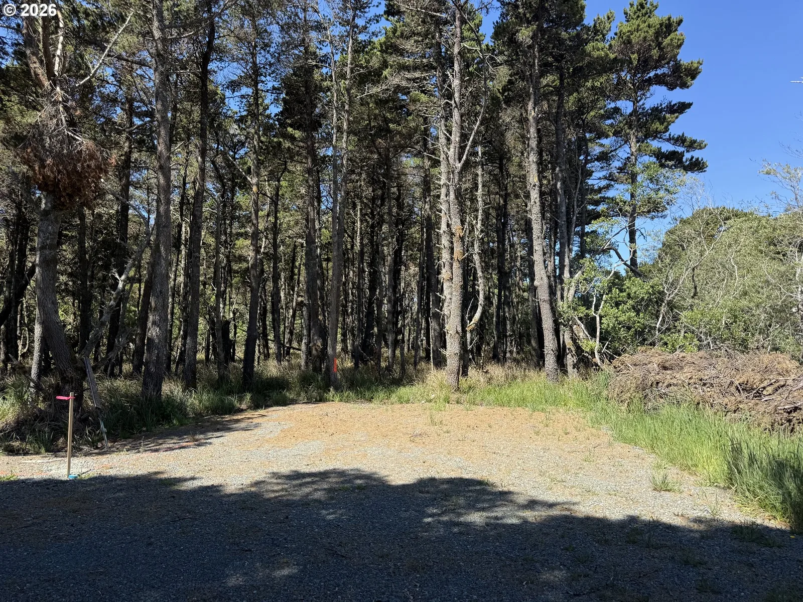 0 Allegheny Rd, Bandon, OR 97411 — photograph 9