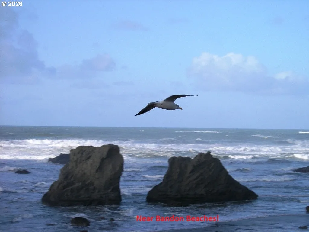 0 Allegheny Rd, Bandon, OR 97411 — photograph 16