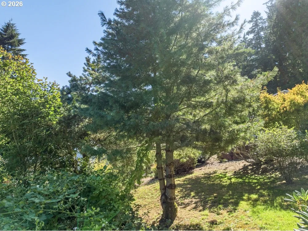 305 9th St, Garibaldi, OR 97118 — photograph 16