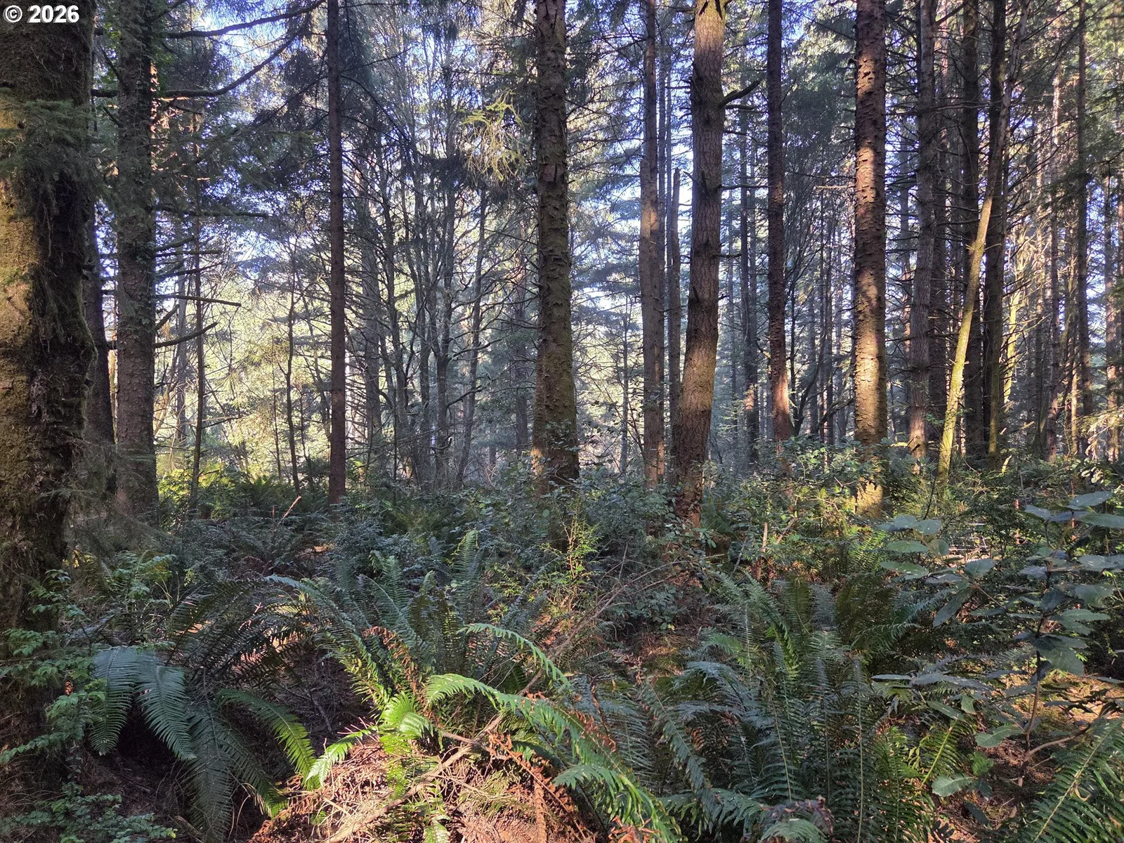 Greggs Creek Rd 300, Gold Beach, OR 97444 — photograph 17