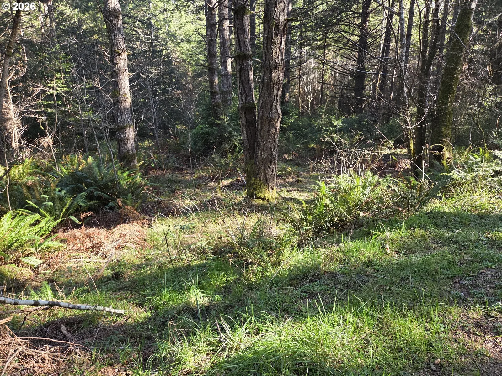 Greggs Creek Rd 300, Gold Beach, OR 97444 — photograph 25