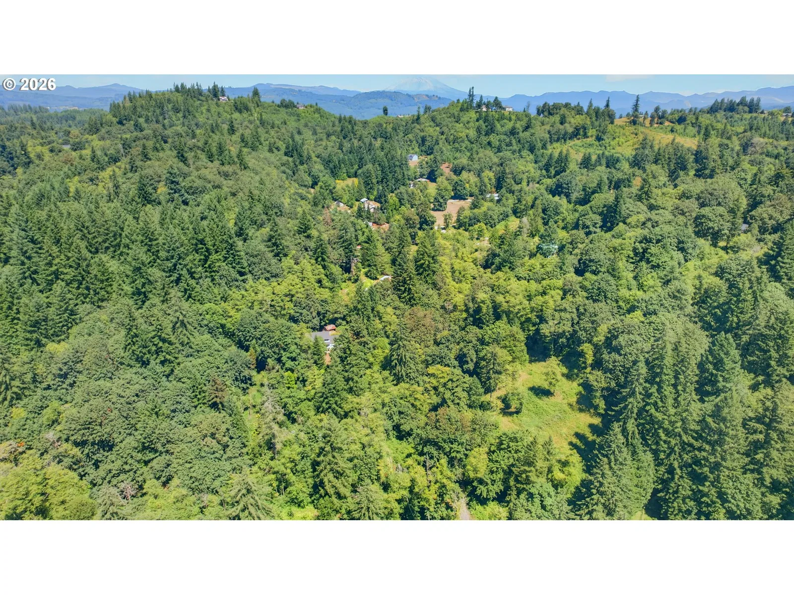 18820 NE Sunrise Ln, Yacolt, Wa 98675 — photograph 22