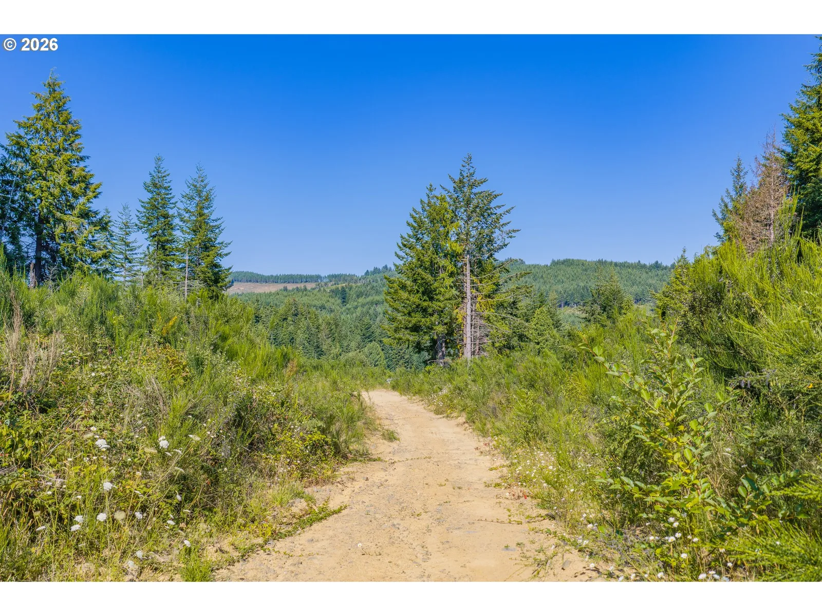 70113 Stage Rd, North Bend, OR 97459 — photograph 15