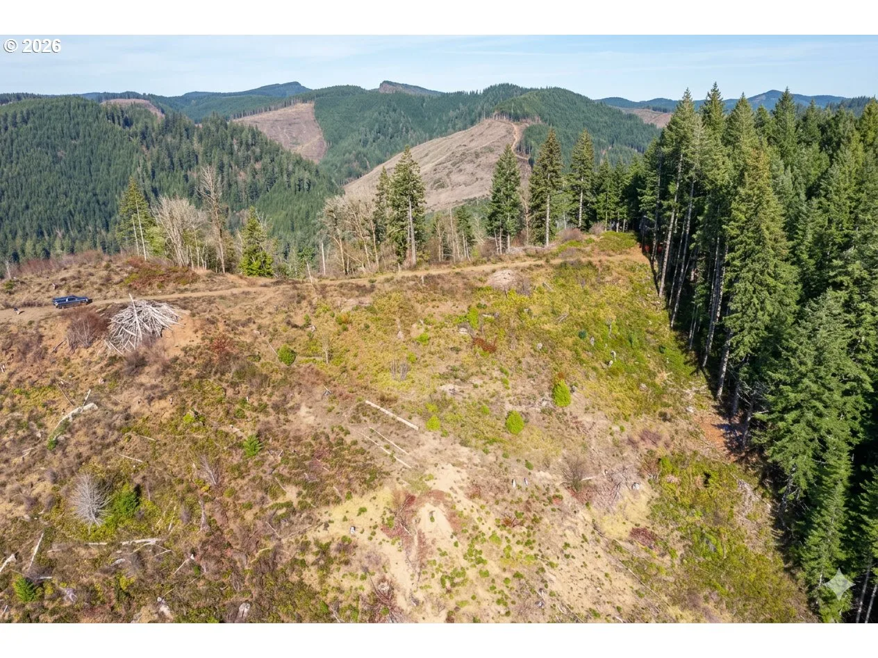 Upper Smith River Rd Tl1500, Reedsport, OR 97467 — photograph 6