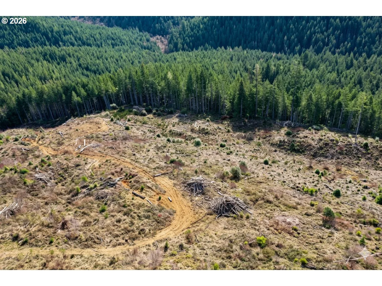 Upper Smith River Rd Tl1500, Reedsport, OR 97467 — photograph 10