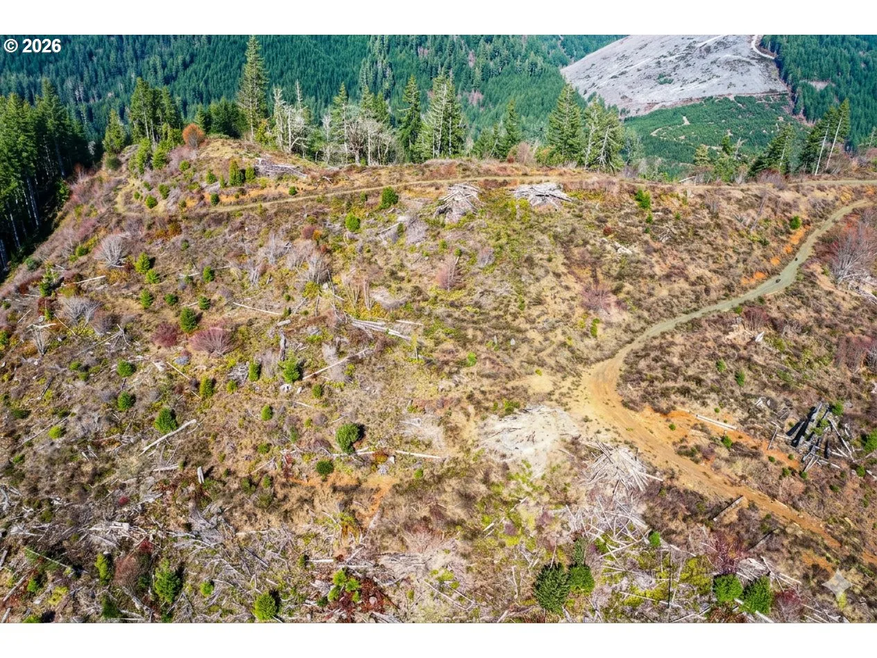 Upper Smith River Rd Tl1500, Reedsport, OR 97467 — photograph 14