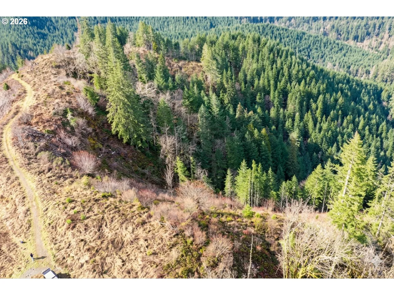 Upper Smith River Rd Tl1500, Reedsport, OR 97467 — photograph 16