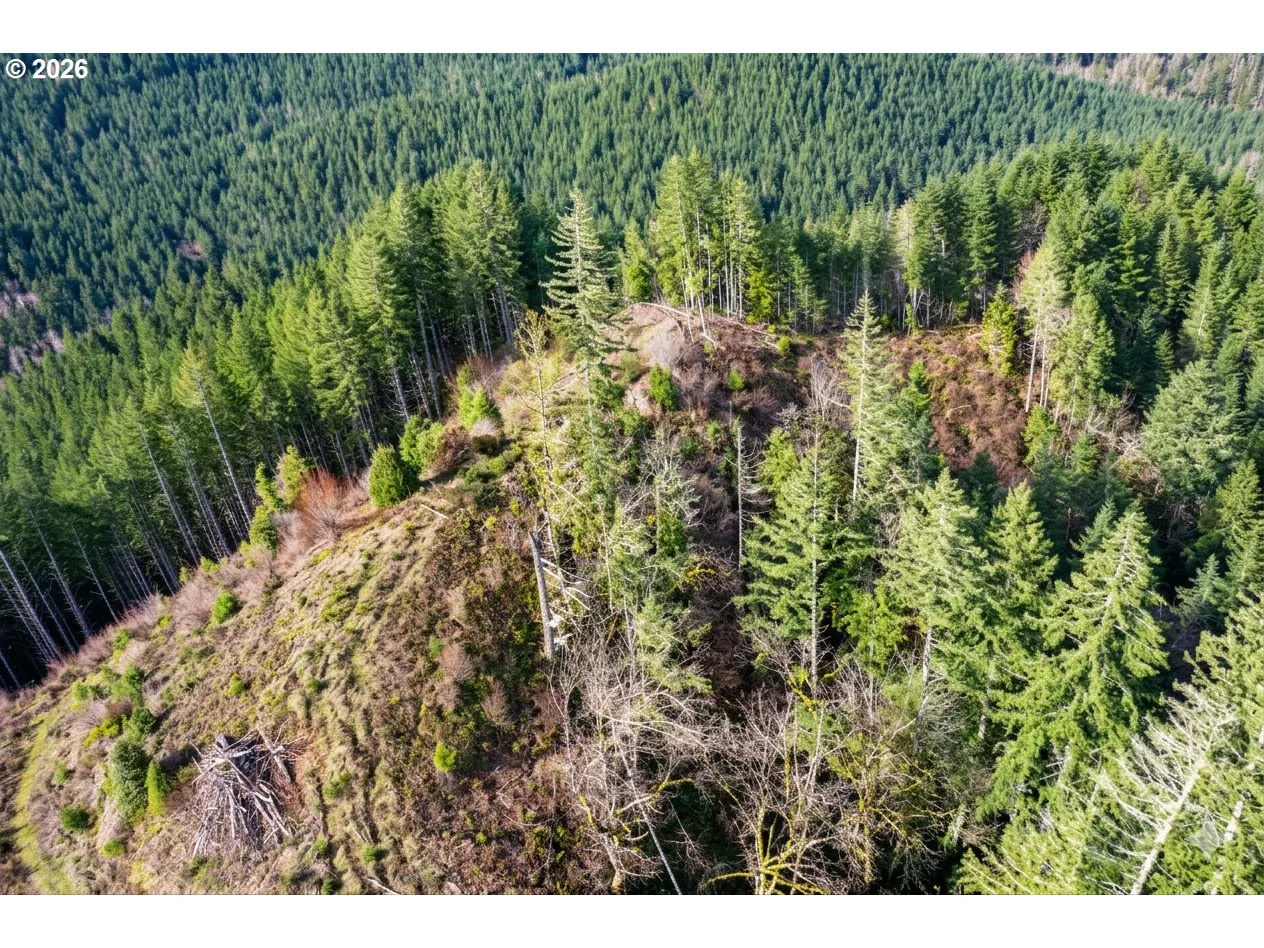 Upper Smith River Rd Tl1500, Reedsport, OR 97467 — photograph 19