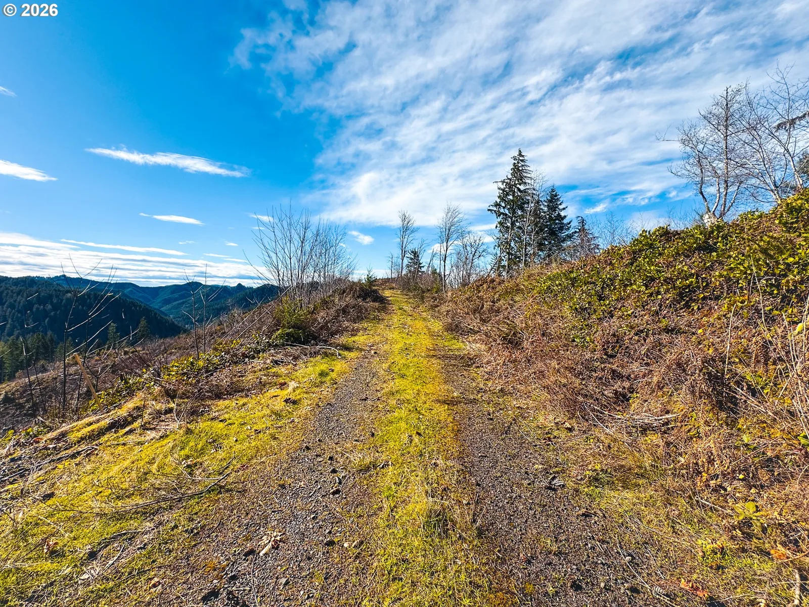 Upper Smith River Rd Tl1500, Reedsport, OR 97467 — photograph 23