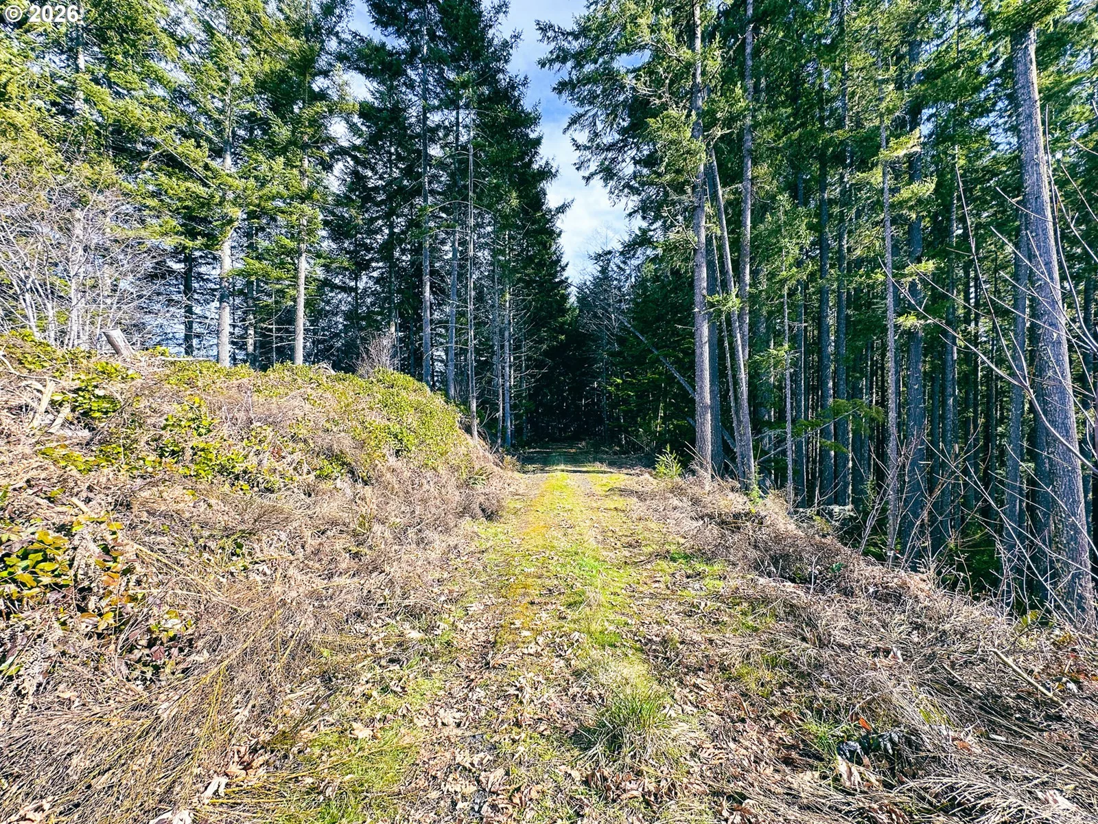 Upper Smith River Rd Tl1500, Reedsport, OR 97467 — photograph 48