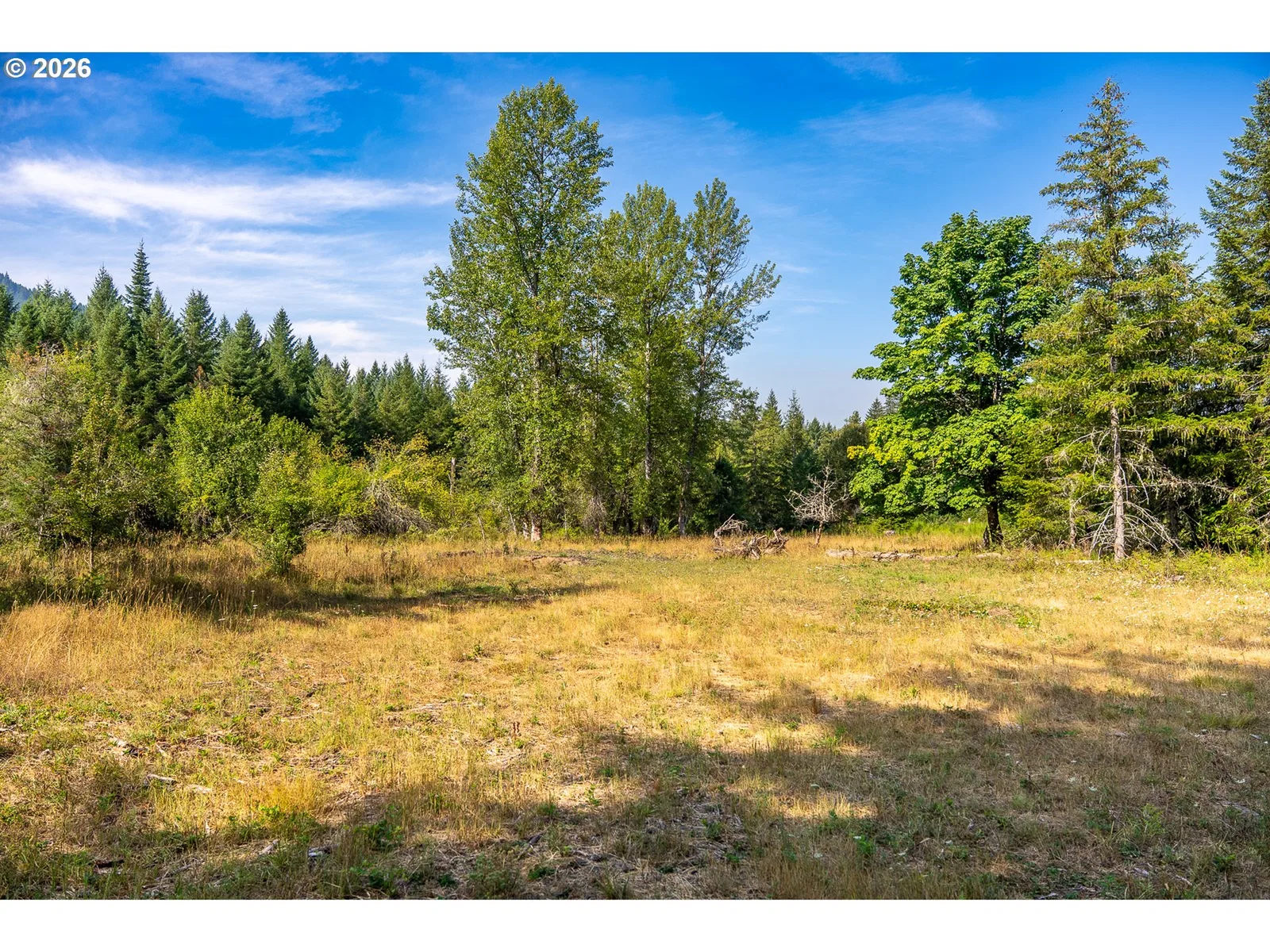 131 Hawk Meadows Rd, Carson, Wa 98610 — photograph 8