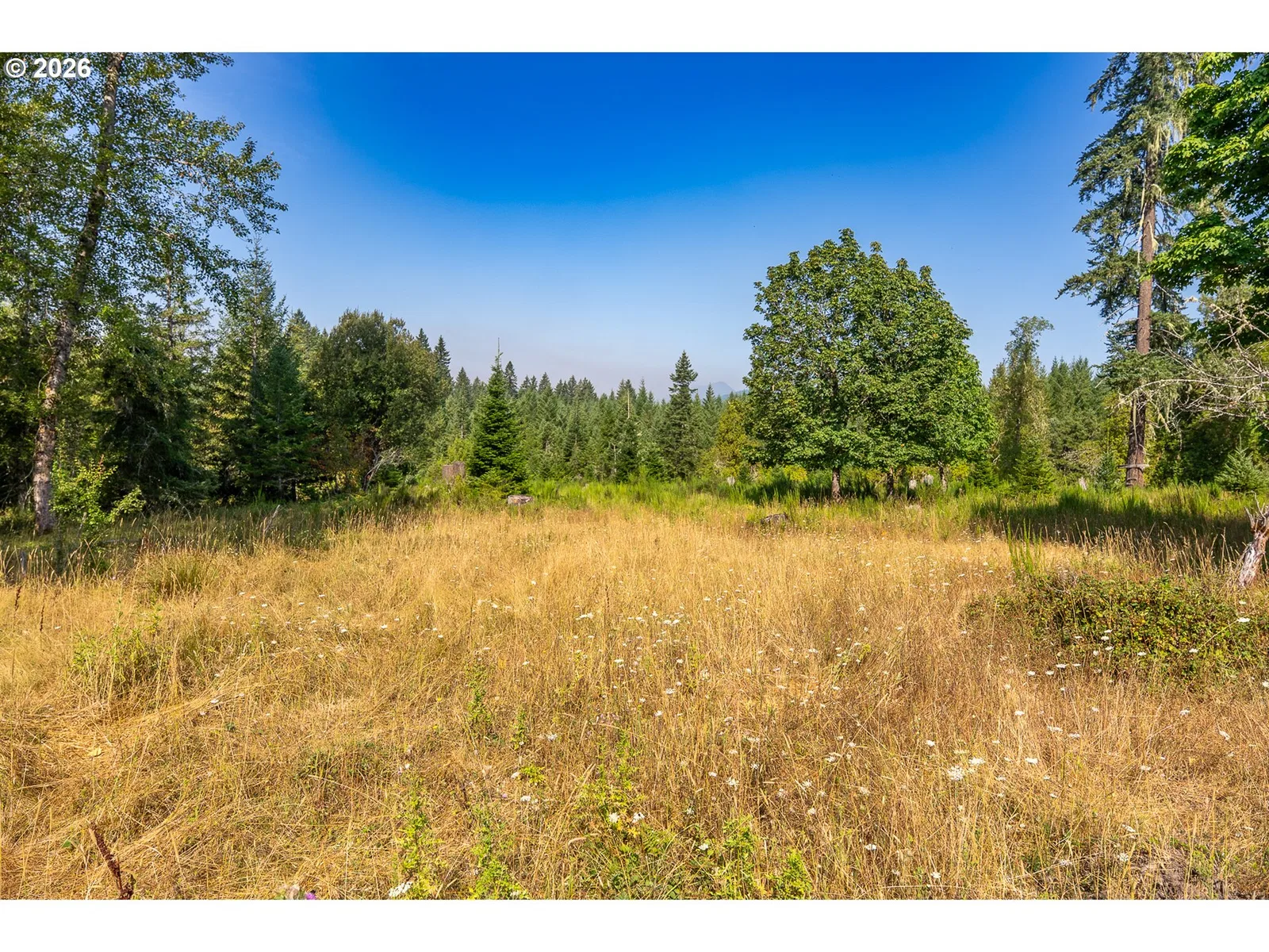 131 Hawk Meadows Rd, Carson, Wa 98610 — photograph 12