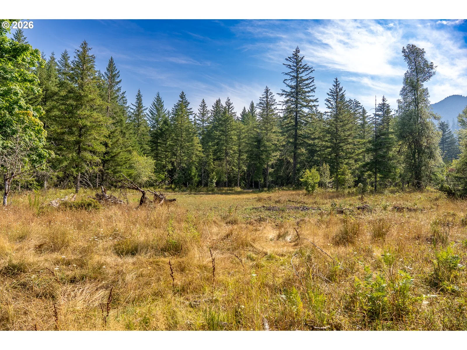 131 Hawk Meadows Rd, Carson, Wa 98610 — photograph 13