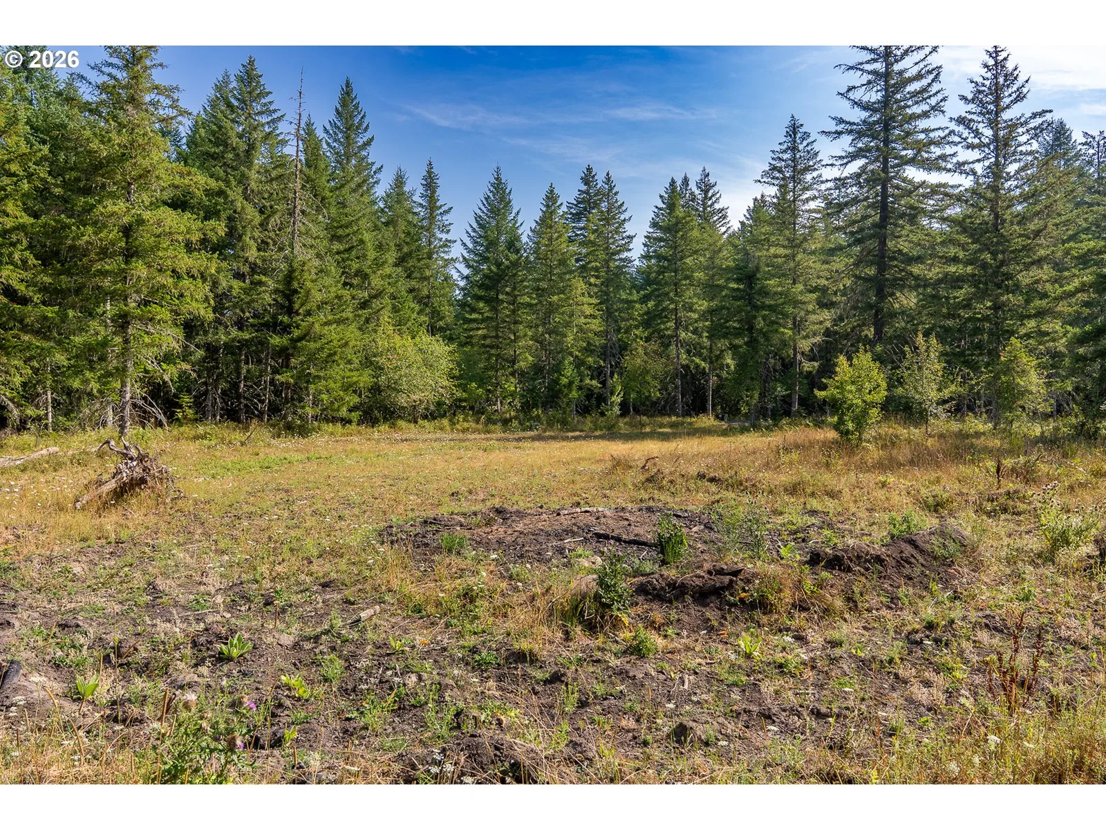 131 Hawk Meadows Rd, Carson, Wa 98610 — photograph 14