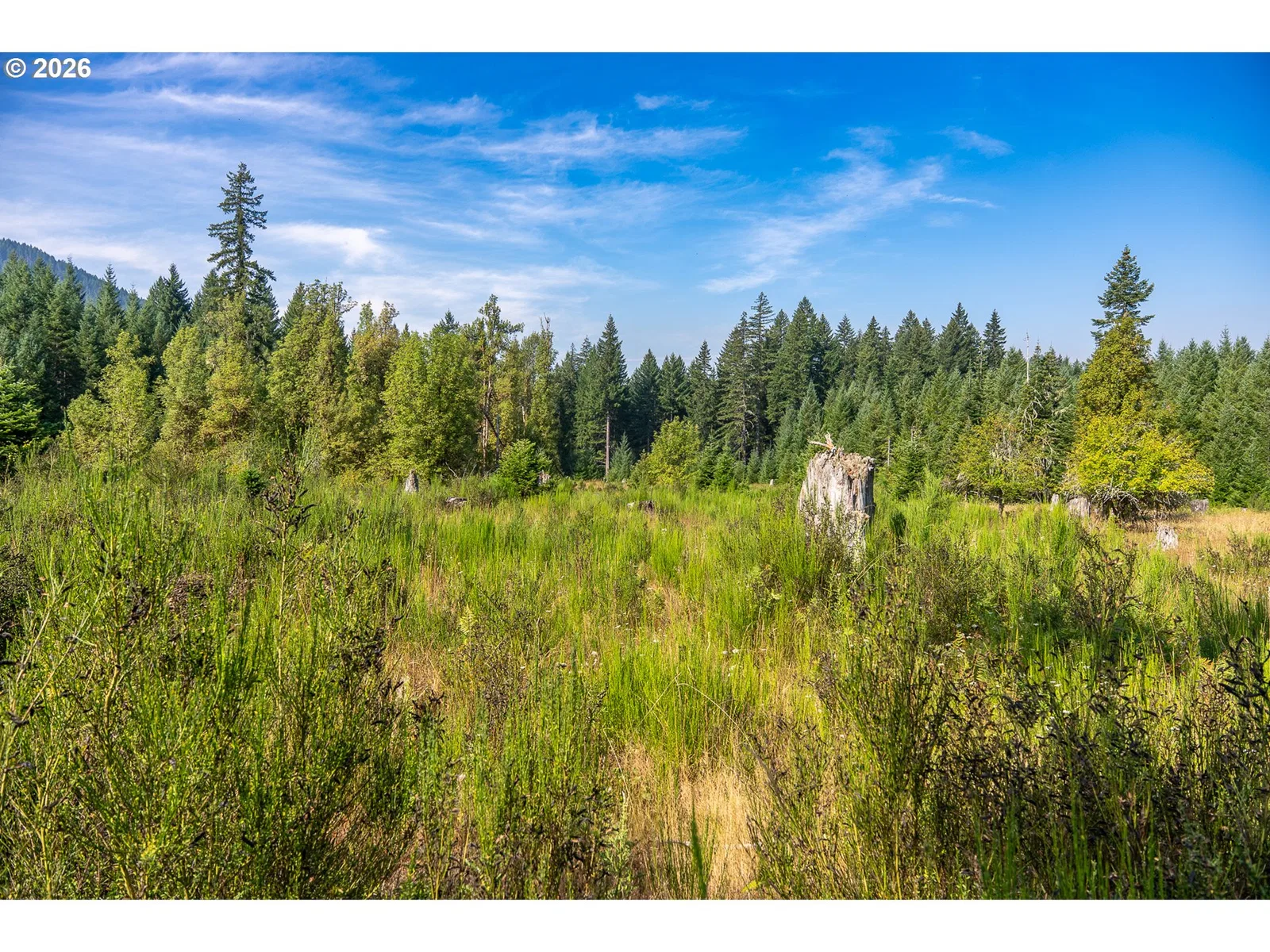 131 Hawk Meadows Rd, Carson, Wa 98610 — photograph 17