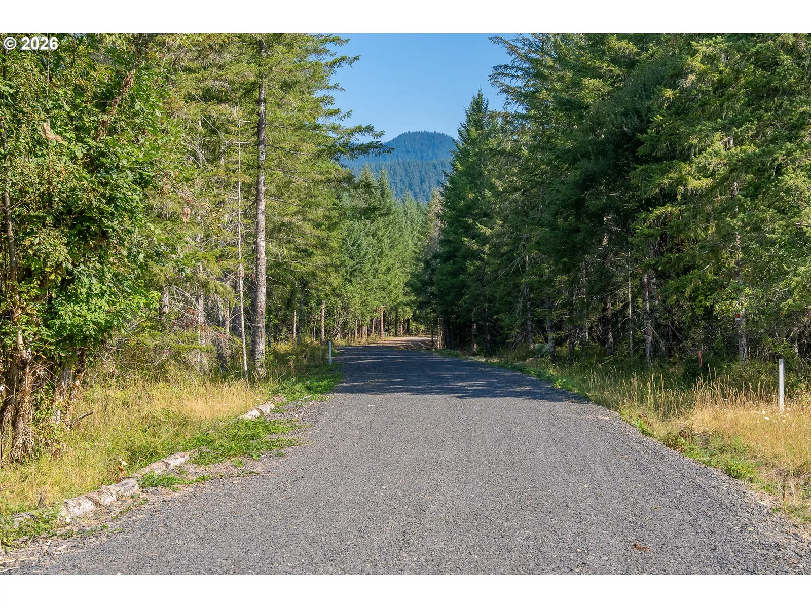 131 Hawk Meadows Rd, Carson, Wa 98610 — photograph 38