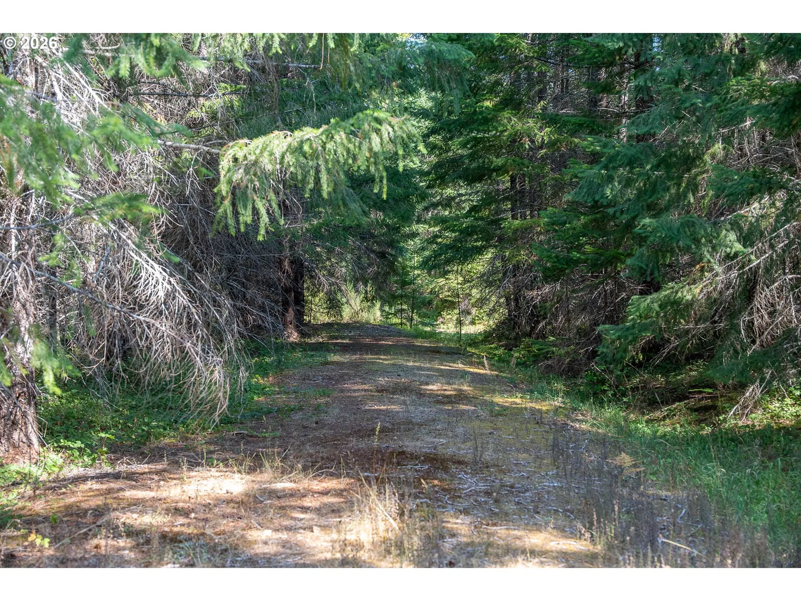 131 Hawk Meadows Rd, Carson, Wa 98610 — photograph 42