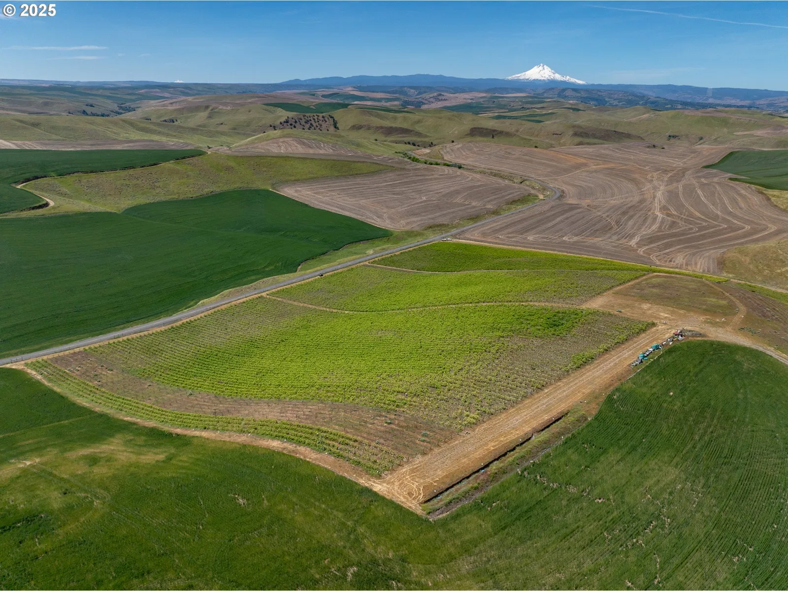 Emerson Loop Rd, The Dalles, OR 97058 — photograph 6