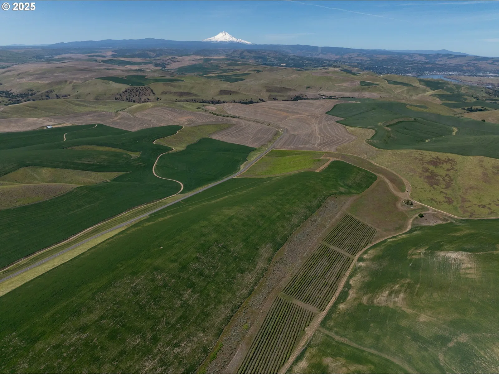 Emerson Loop Rd, The Dalles, OR 97058 — photograph 13
