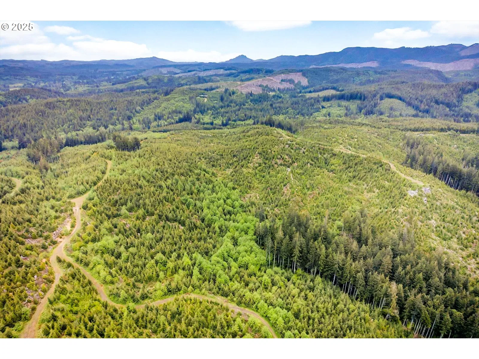 5 Parpala Rd 5, Naselle, Wa 98638 — photograph 19