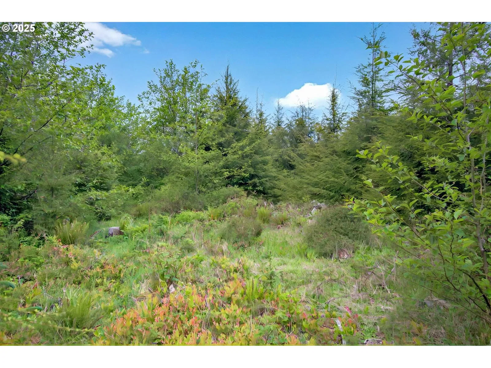 5 Parpala Rd 5, Naselle, Wa 98638 — photograph 12