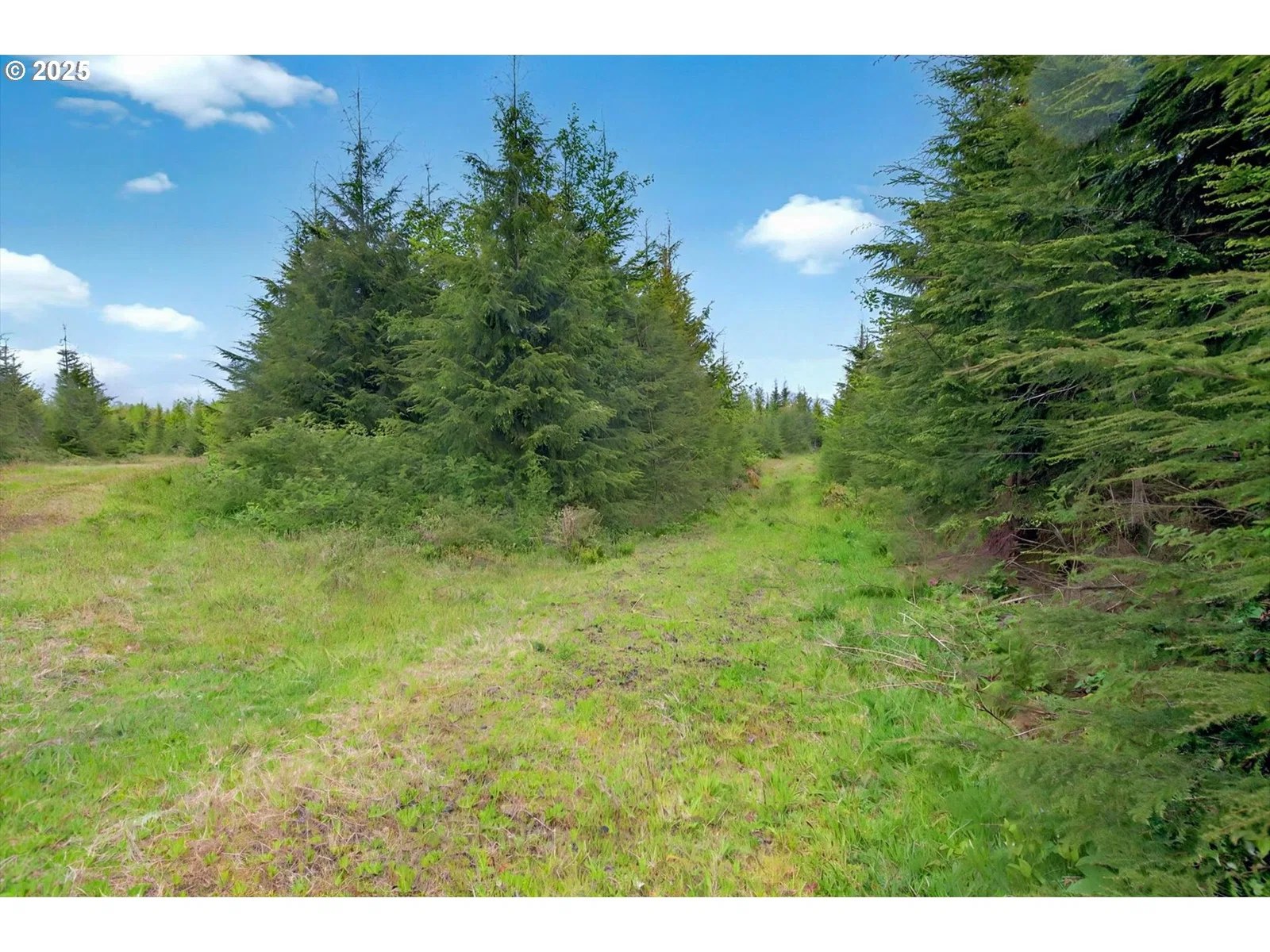 5 Parpala Rd 5, Naselle, Wa 98638 — photograph 14
