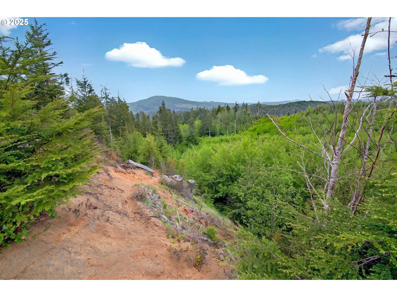 5 Parpala Rd 5, Naselle, Wa 98638 — photograph 15