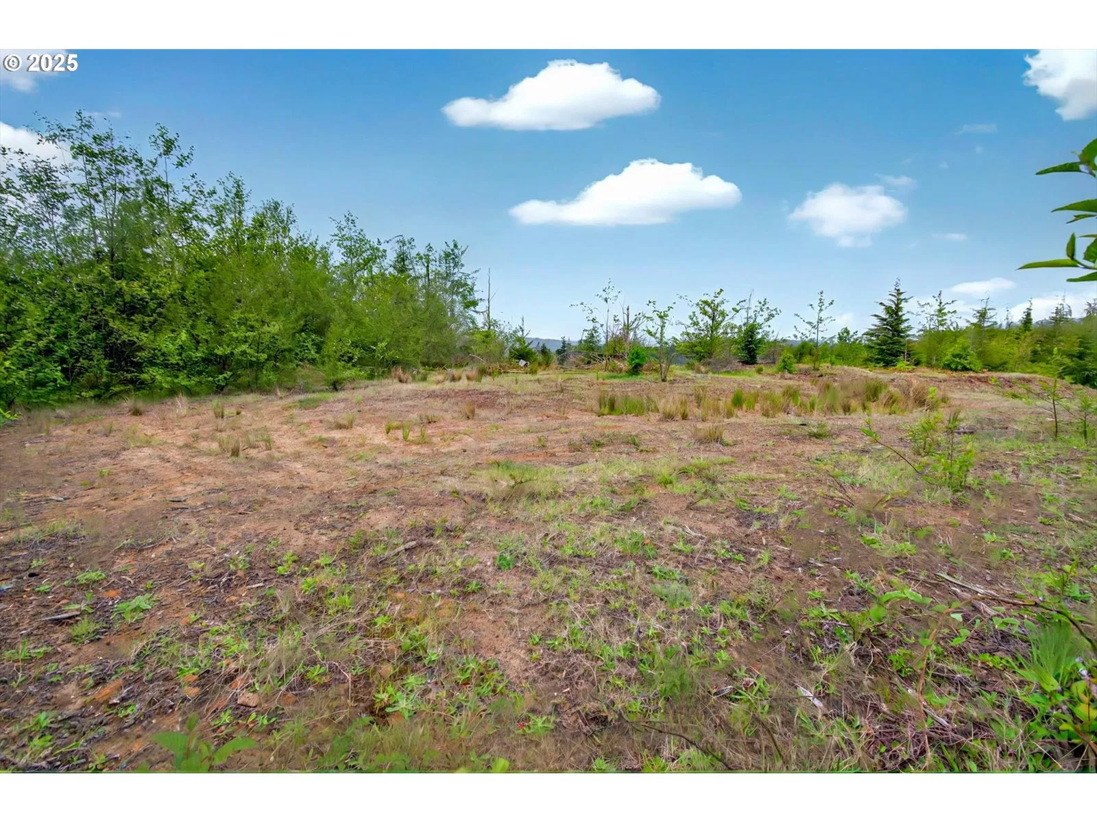 5 Parpala Rd 5, Naselle, Wa 98638 — photograph 7