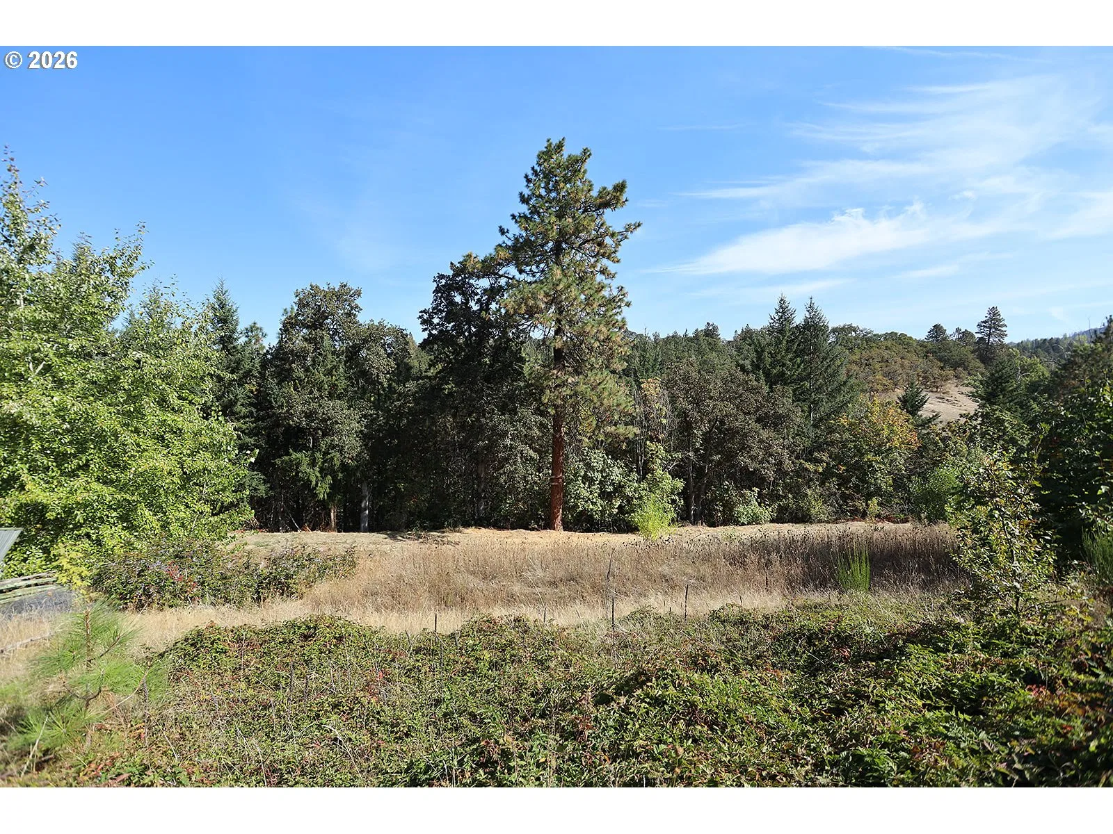 1250 Dry Creek Rd, Mosier, OR 97040 — photograph 17