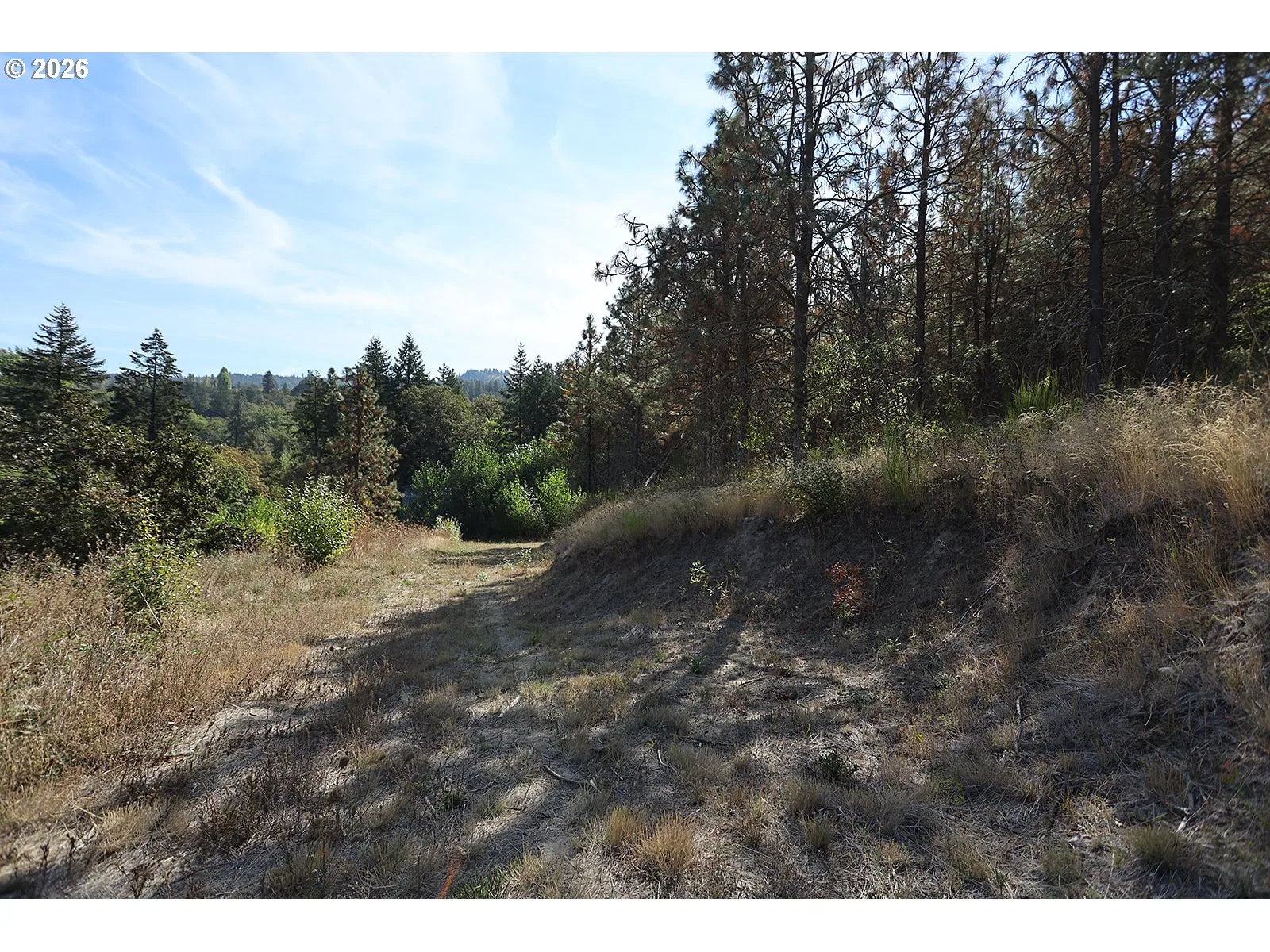 1250 Dry Creek Rd, Mosier, OR 97040 — photograph 18