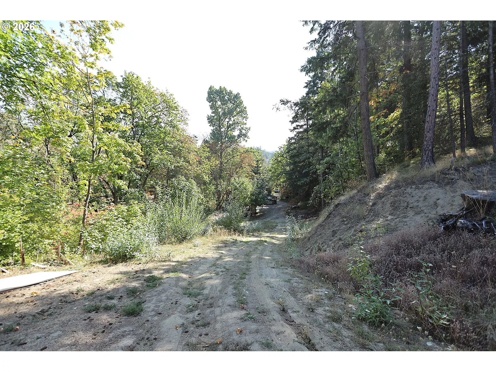 1250 Dry Creek Rd, Mosier, OR 97040 — photograph 19