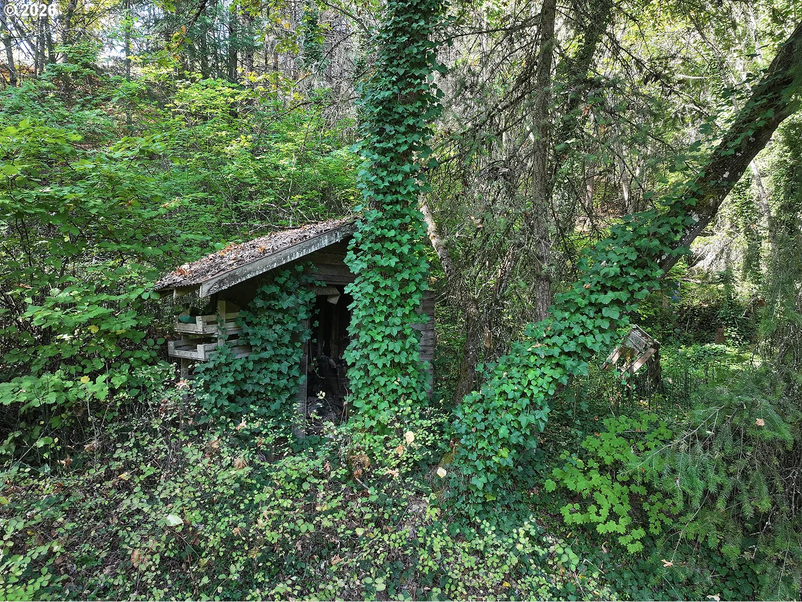 1250 Dry Creek Rd, Mosier, OR 97040 — photograph 23