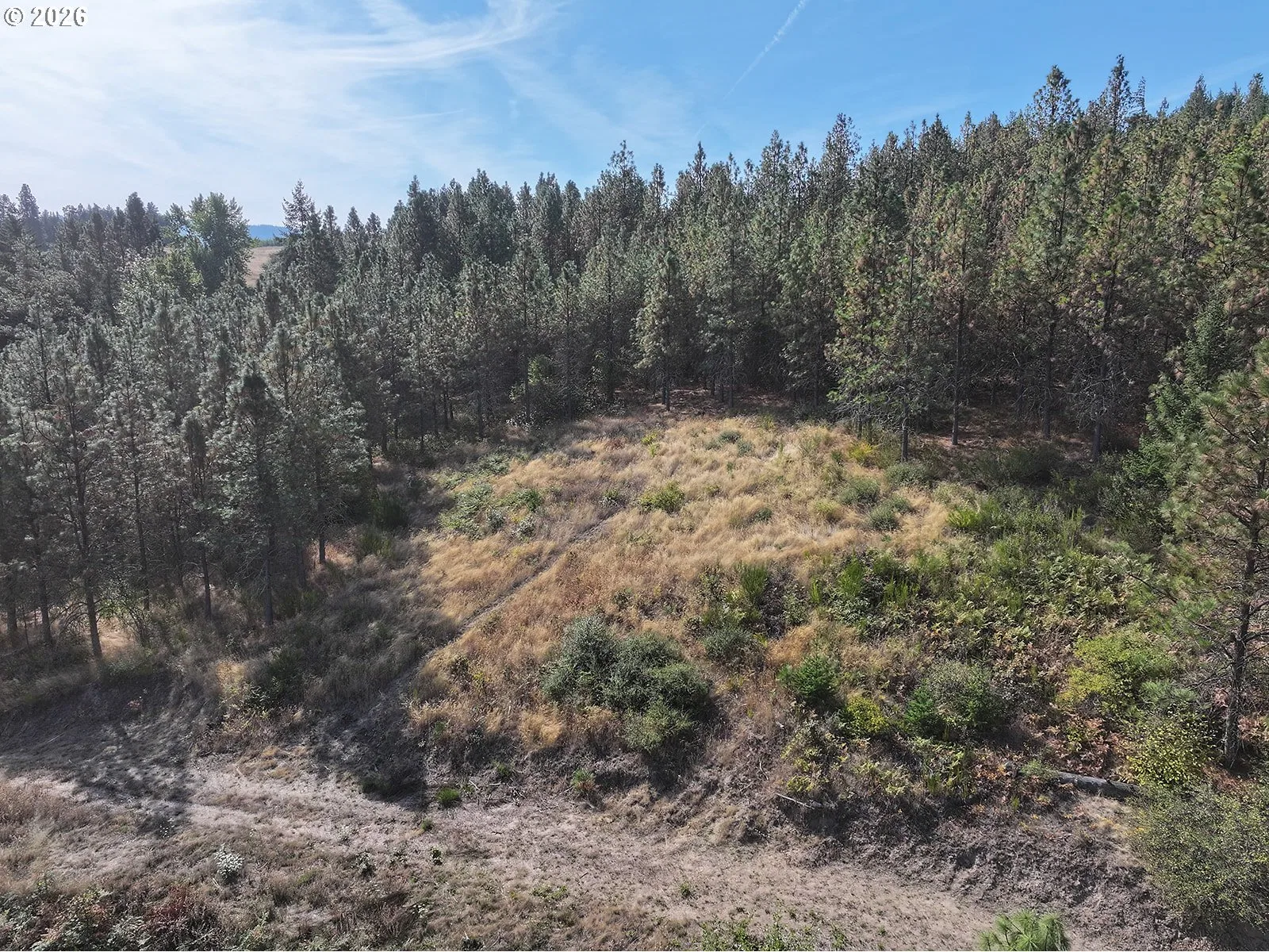 1250 Dry Creek Rd, Mosier, OR 97040 — photograph 33