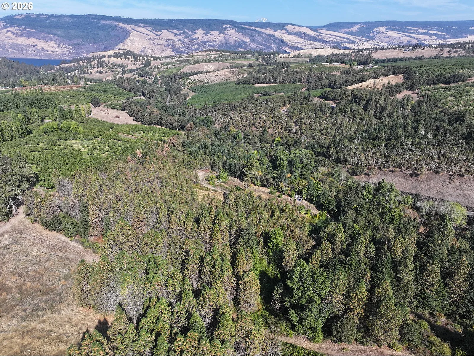 1250 Dry Creek Rd, Mosier, OR 97040 — photograph 36