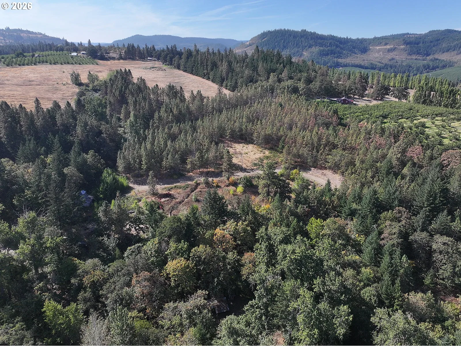 1250 Dry Creek Rd, Mosier, OR 97040 — photograph 41
