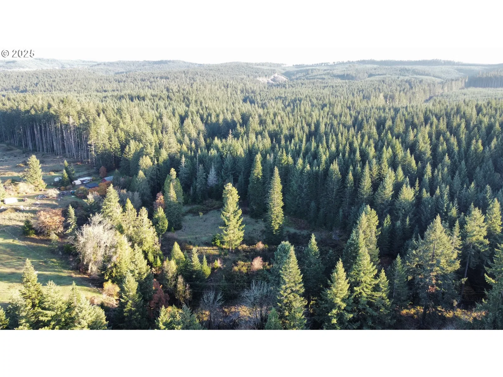 Hard Cash Ln, Camas Valley, OR 97416 — photograph 10