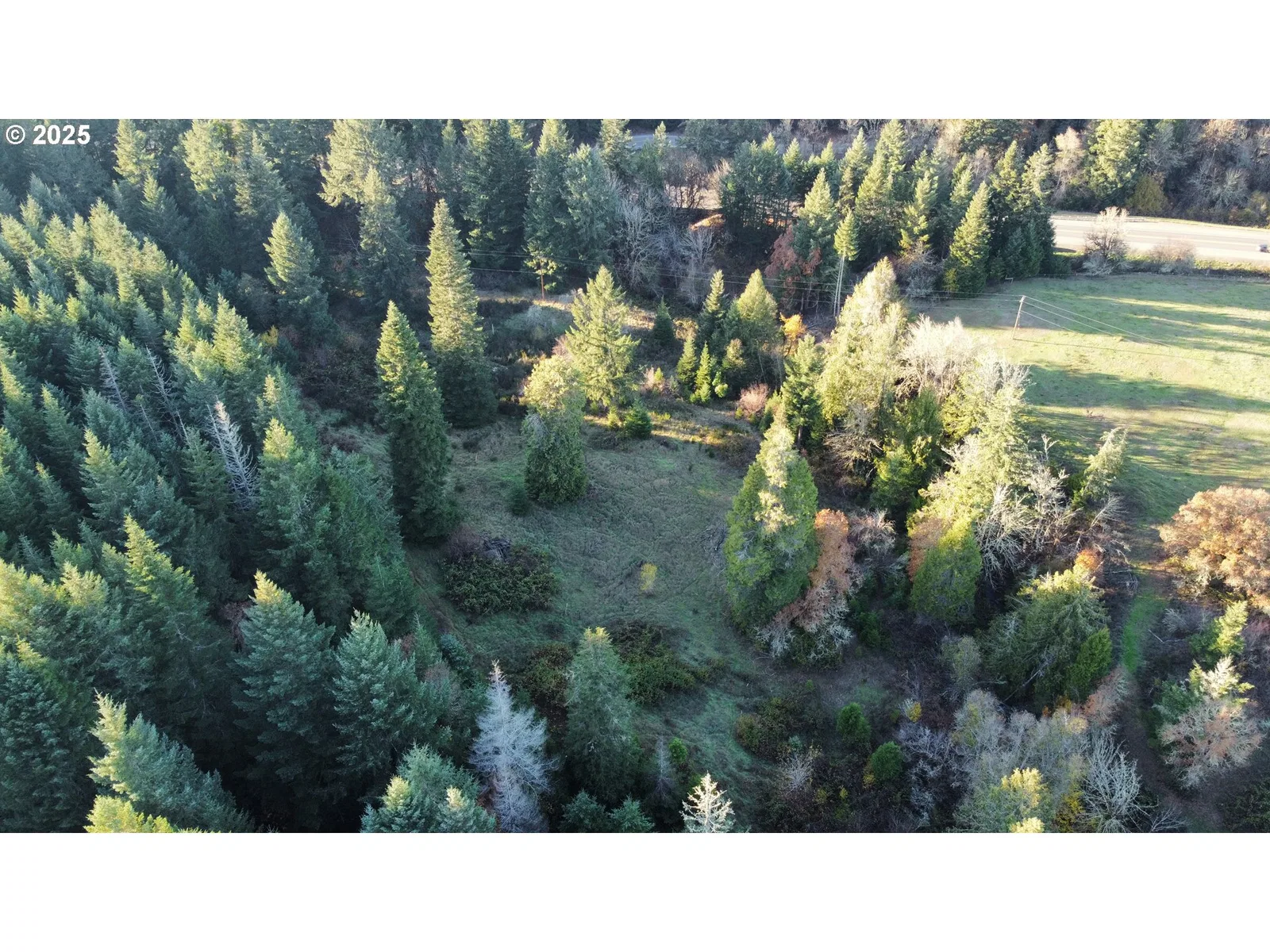 Hard Cash Ln, Camas Valley, OR 97416 — photograph 16